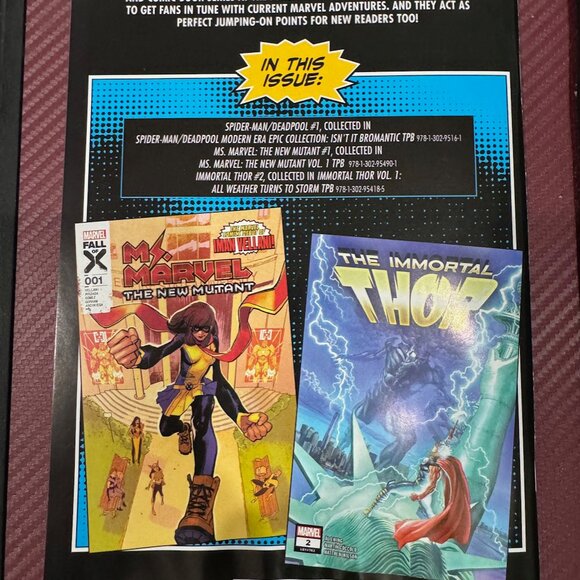 Spider-Man/Deadpool New Comic - Picture 2 of 2